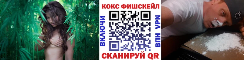 Купить закладки  Лангепас  КОКАИН Колумбийский 