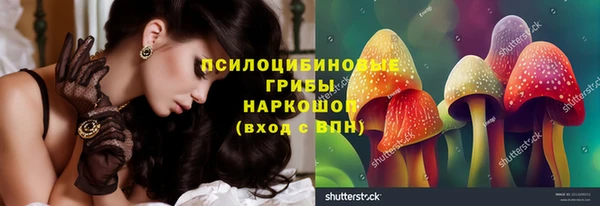 гидропоника Заволжск