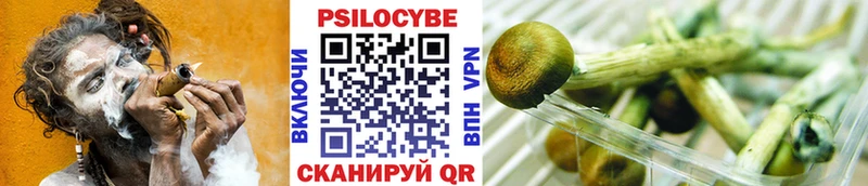 Купить где  Лангепас  Псилоцибиновые грибы ЛСД 